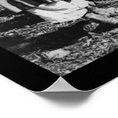 Poster Olive Harvest Palestine 1886 (Coin)