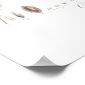 Poster Olive, Olea europaea (Coin)