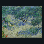 Poster Olive Orchard par Vincent Van Gogh<br><div class="desc">Olive Orchard de Vincent Van Gogh, huile sur toile 1889, est un tableau paysager d'un bosquet d'oliviers rongés avec des feuilles gris sur un sol vallonné et sablonneux sous un ciel bleu profond. Peint avec des coups de pinceau cassés et énergiques de mouvement tourbillonnant dans des couleurs similaires, contrastées et...</div>