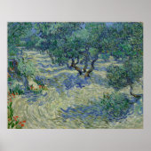 Poster Olive Orchard par Vincent Van Gogh (Devant)