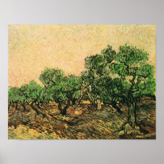 Poster Olive Picking Van Gogh Art