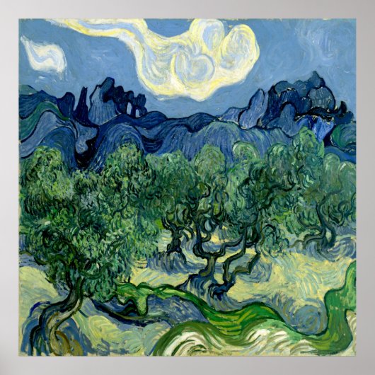 Poster Olive Trees par Vincent van Gogh (Devant)