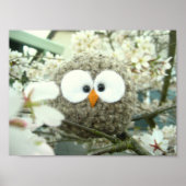 Poster Oliver le hibou (Devant)