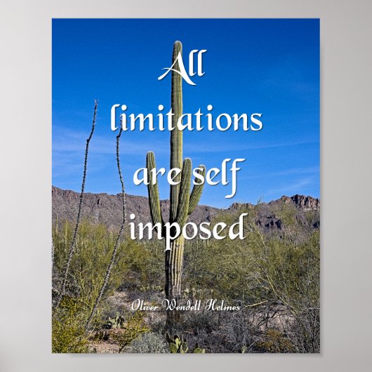 Poster Oliver Wendell Holmes, Limitations (Devant)