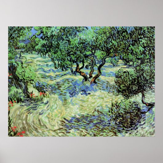 Poster Oliveraie par Vincent van Gogh (Devant)