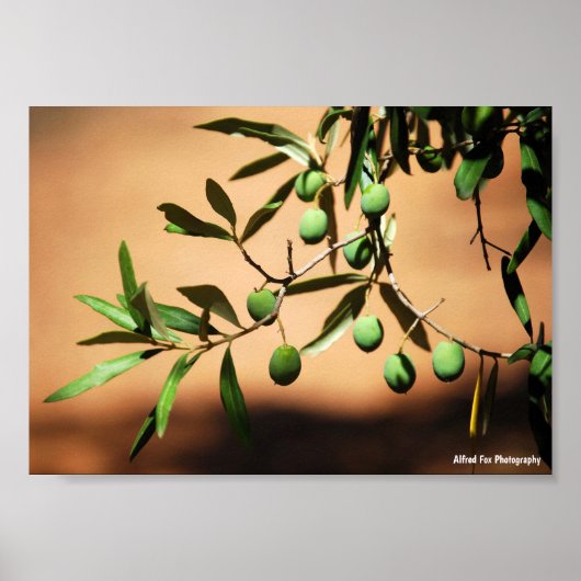 Poster Olives vertes sur une branche (Devant)