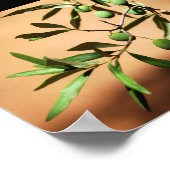 Poster Olives vertes sur une branche (Coin)