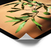 Poster Olives vertes sur une branche (Coin)