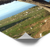 Poster olivier (Coin)