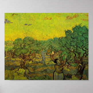 Poster Olivier Grove avec les chiffres de cueillette, Vin