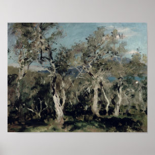 Poster Oliviers, Corfou, 1912