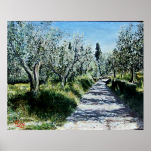 Poster OLIVIERS DANS RIMAGGIO Paysage toscan