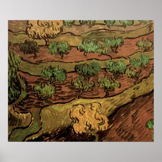Poster Oliviers de Van Gogh contre une pente de colline (Devant)
