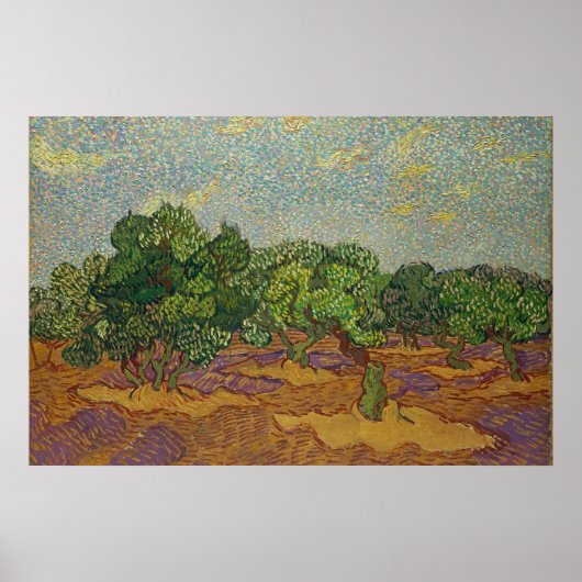 Poster Oliviers, Van Gogh (Devant)
