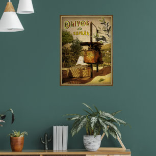 Poster Olivos de España