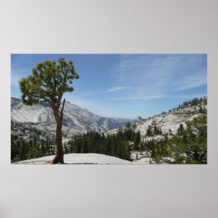 Poster Olmsted Point I au parc national de Yosemite