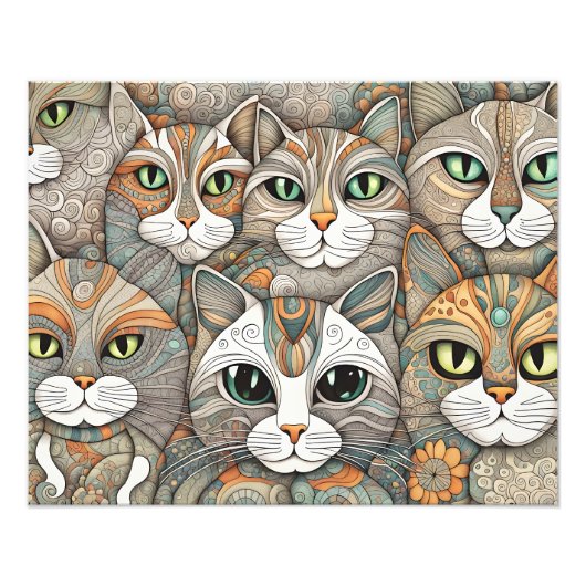 poster om katten te kalmeren (Voorkant)
