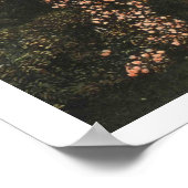 Poster Omaha Nebraska 1913 Hanscom Park Vintage (Coin)