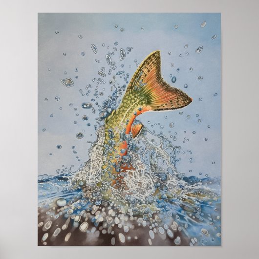 Poster Omble de fontaine éclaboussure (Devant)