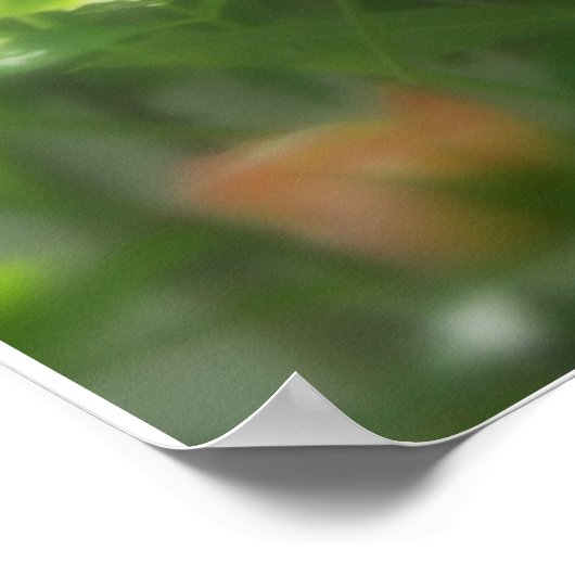 Poster Ombragé (Coin)