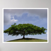 Poster ombrage (Devant)