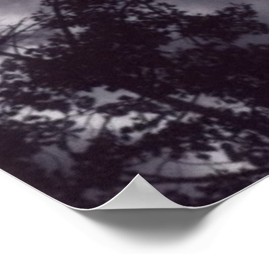 Poster Ombragé (Coin)