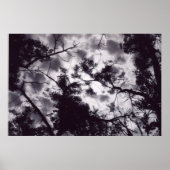 Poster Ombragé (Devant)