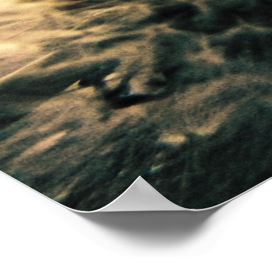 Poster Ombragé (Coin)