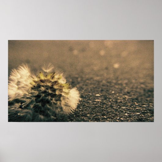 Poster Ombragé (Devant)