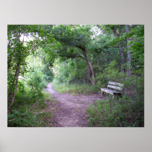Poster Ombre d'après-midi dans la forêt