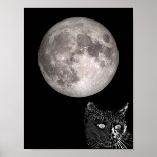 Poster Ombre de chat noir