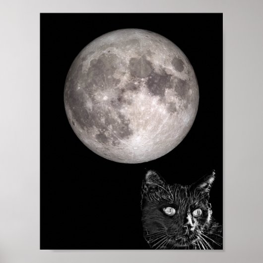 Poster Ombre de chat noir (Devant)