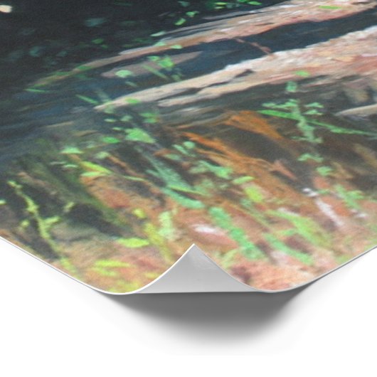 Poster Ombre de coco 2014 (Coin)