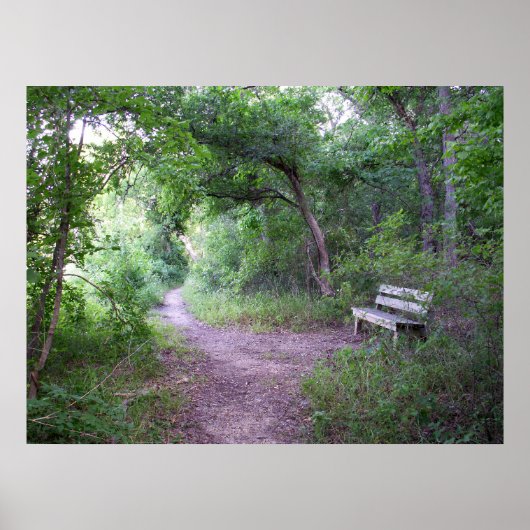 Poster Ombre de l'après-midi dans la forêt (Devant)