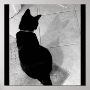 Poster Ombre de Lucy B+W