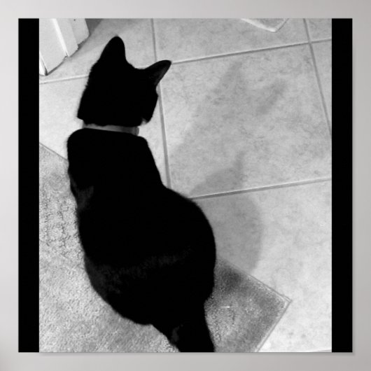 Poster Ombre de Lucy B+W (Devant)