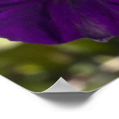 Poster Ombre de minuit (Coin)