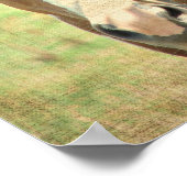 Poster Ombre d'été (Coin)