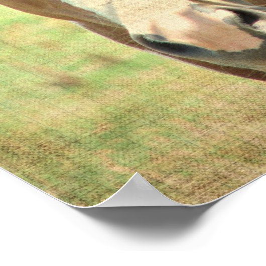 Poster Ombre d'été (Coin)