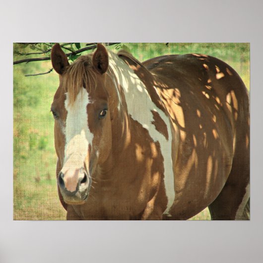 Poster Ombre d'été (Devant)