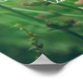 Poster Ombre d'été verte avec fleurs bleues (Coin)