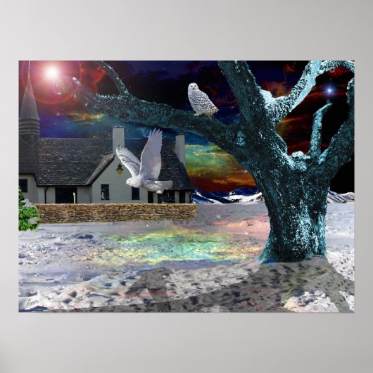 Poster Ombre du clair de lune (Devant)