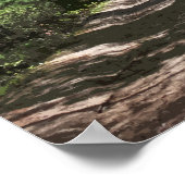 Poster Ombres après-midi (Coin)