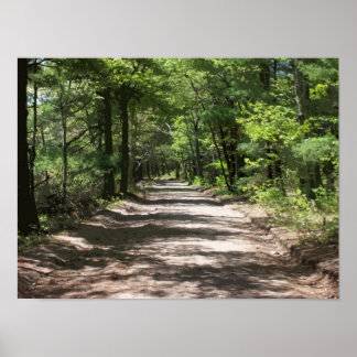 Poster Ombres après-midi