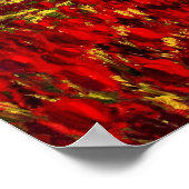 Poster Ombres de Keukenhof (Coin)