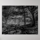 Poster Ombres paysagères infrarouges dans les bois (Devant)