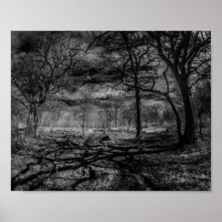 Poster Ombres paysagères infrarouges dans les bois