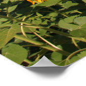 Poster Ombrie - Italie Imprimer (Coin)