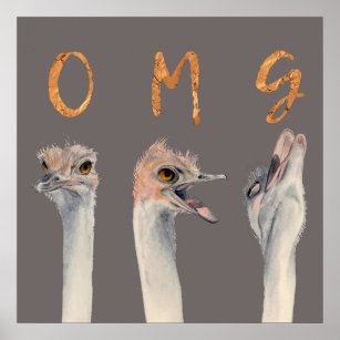 Poster OMG Ostriches