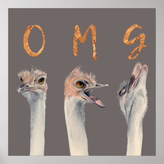 Poster OMG Ostriches (Devant)